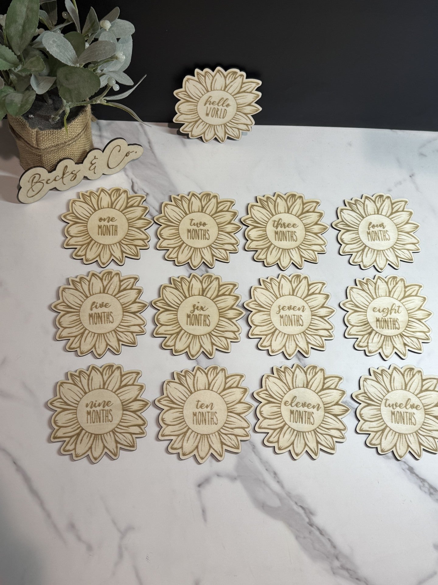 Sunflower Baby Monthly Milestone Announcement Signs