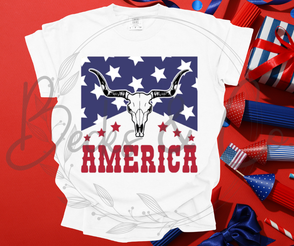 America Cattle Skull