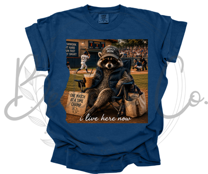 Bleacher Bandit Raccoon