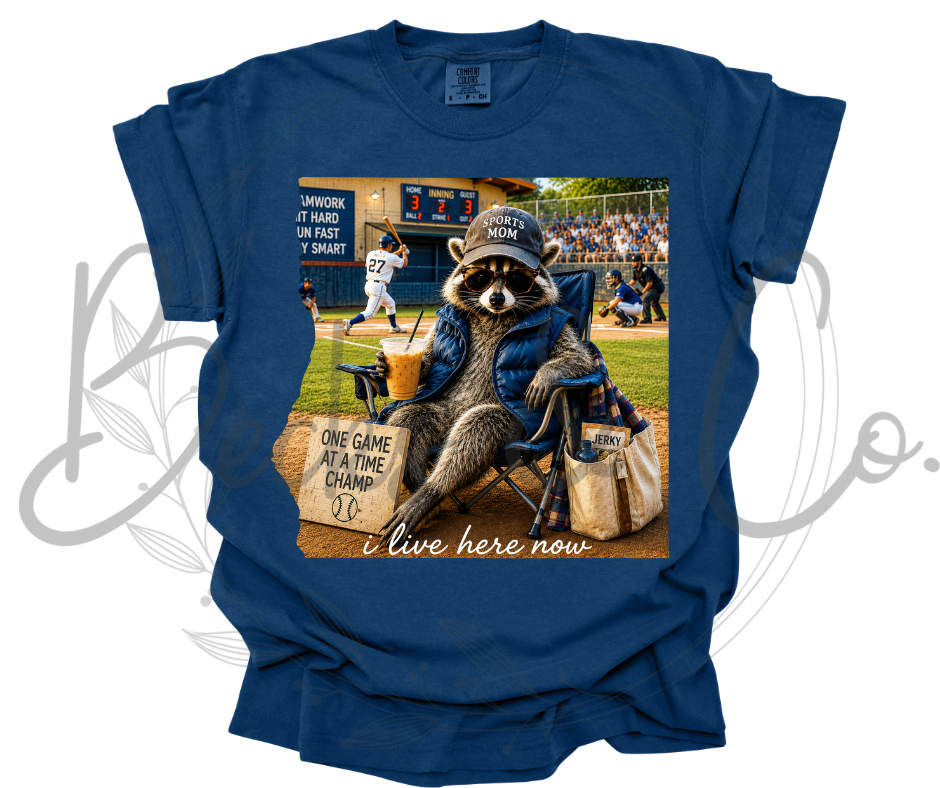 Bleacher Bandit Raccoon