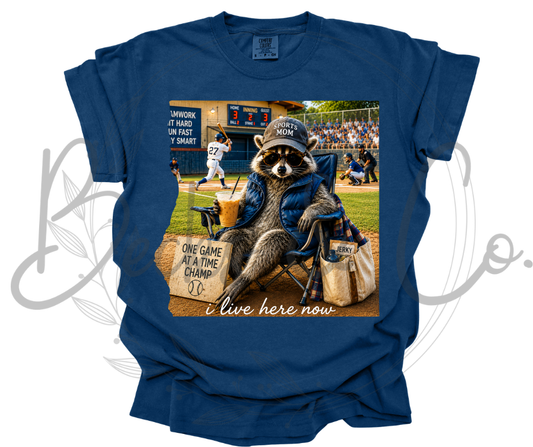 Bleacher Bandit Raccoon