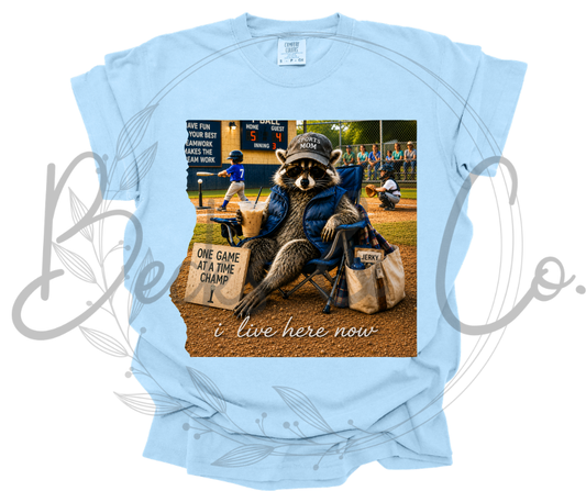 T-Ball Trash Panda Raccoon