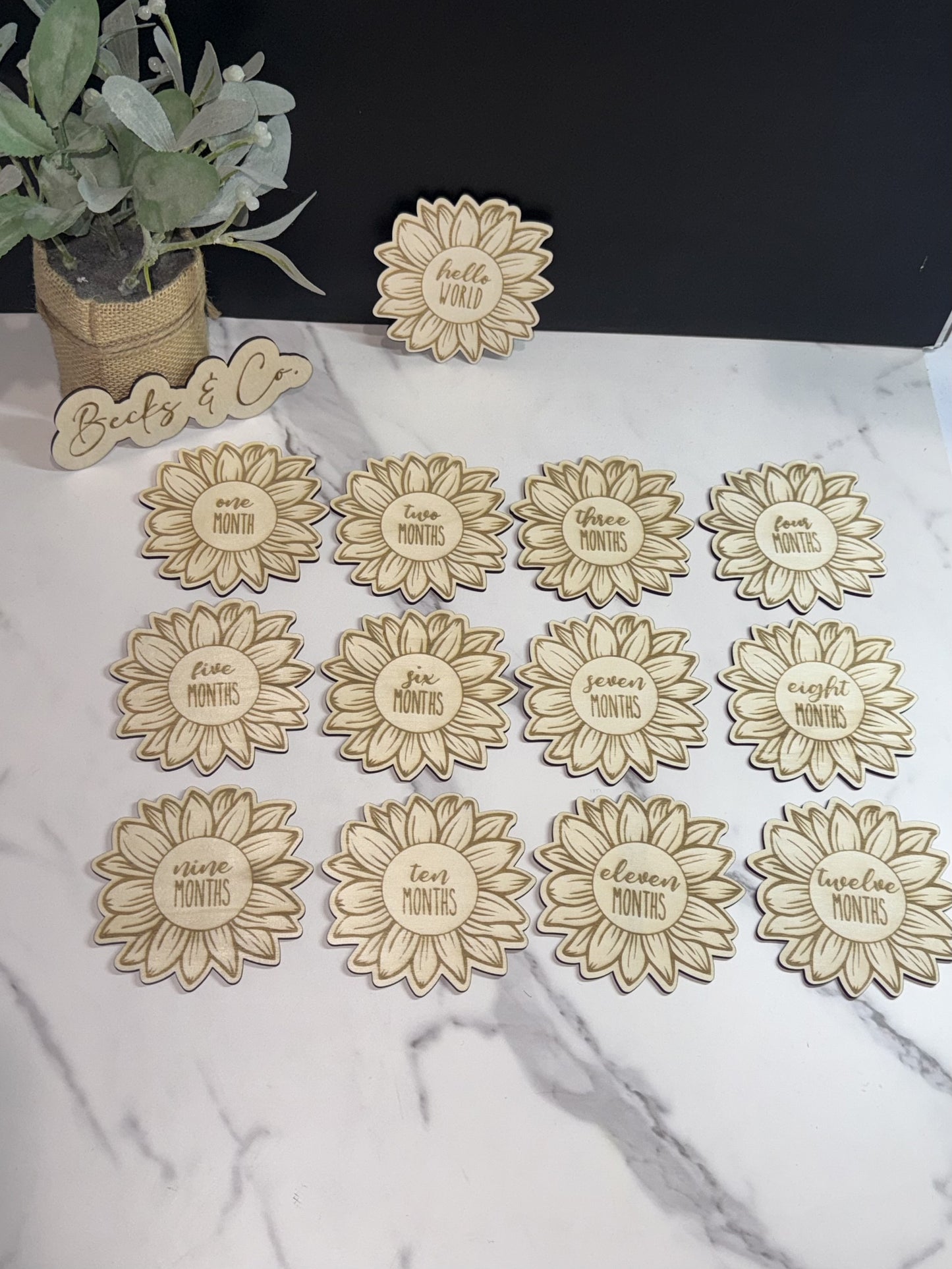 Sunflower Baby Monthly Milestone Announcement Signs
